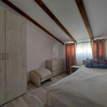 Jolie Art Apartman Brăila Kültér fotó
