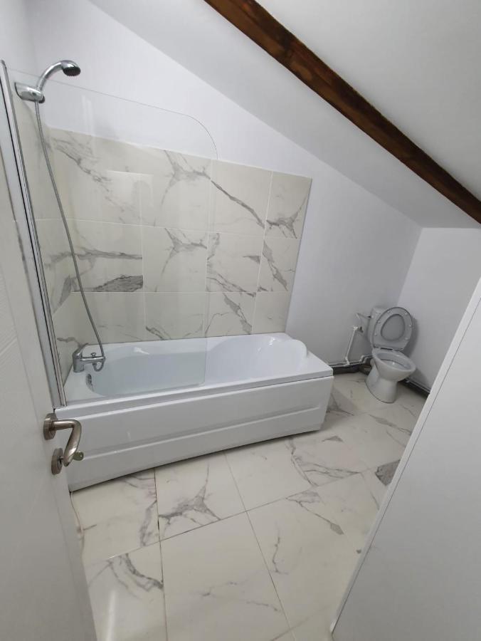 Jolie Art Apartman Brăila Kültér fotó