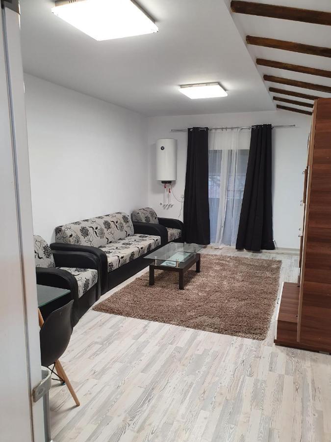 Jolie Art Apartman Brăila Kültér fotó